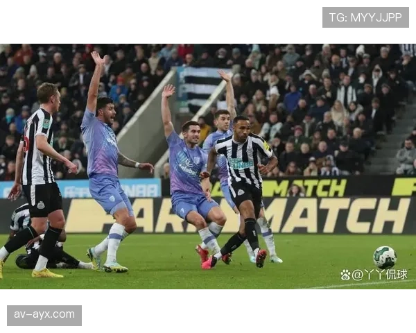 纽卡斯尔联队财力实力双提升，赛场表现引广泛关注